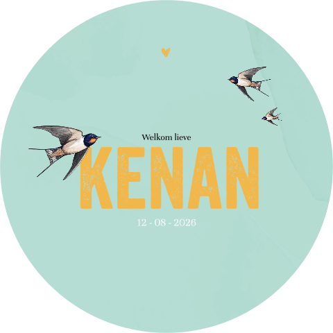 Rond geboortekaartje met groene watercolour en zwaluwen