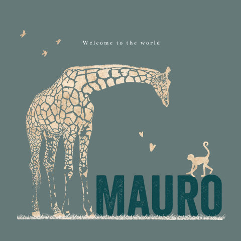 Lief babykaartje met giraffe en aapje voor een jongen