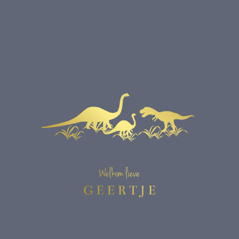 Avontuurlijk goudfolie geboortekaartje met silhouetten van dino's