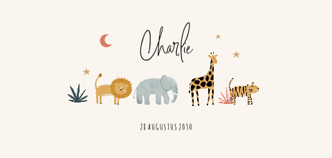 Speels geboortekaartje met jungledieren illustraties