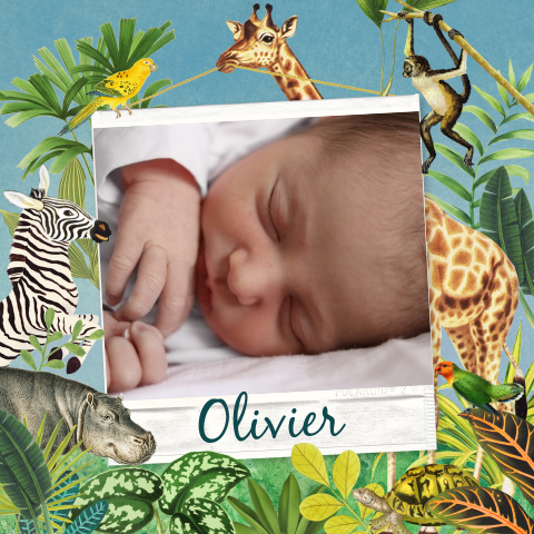 Geboortekaartje jungledieren met foto jongen