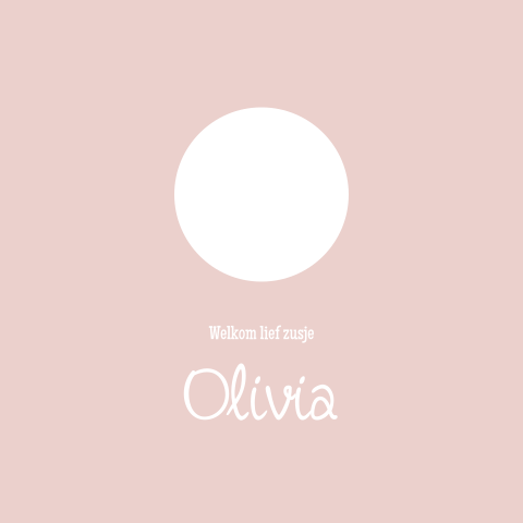 Lief geboortekaartje voor meisje met doorkijkje silhouet grote broer