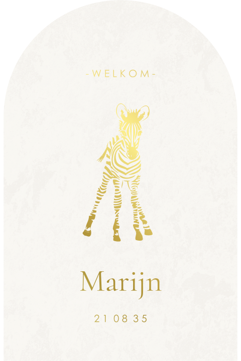 Lief geboortekaartje met illustratie baby zebra in goudfolie