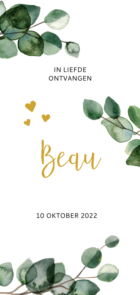 Hip geboortekaartje voor jongen met eucalyptus takjes en blaadjes