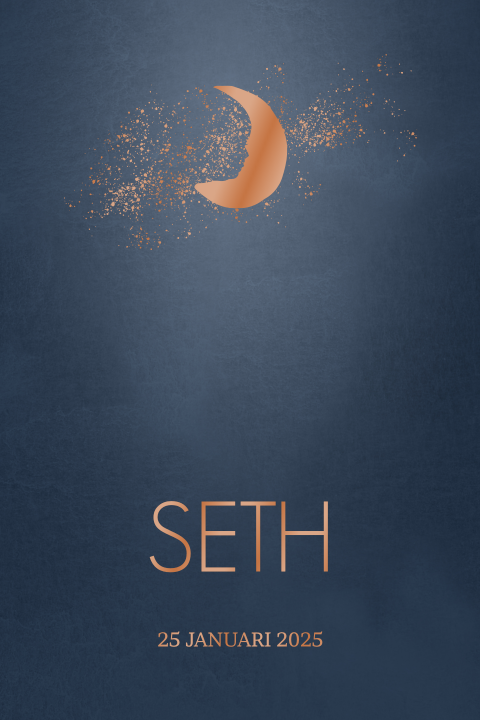 Hoogglans geboortekaart maan met silhouet