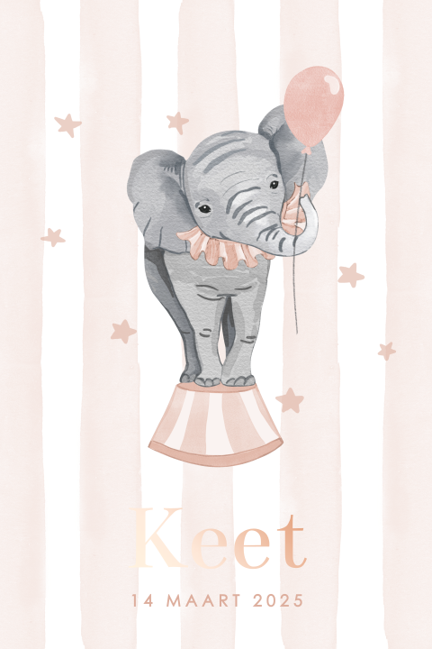 Roze geboortekaartje met roségoudfolie, circus olifant en ronde hoeken