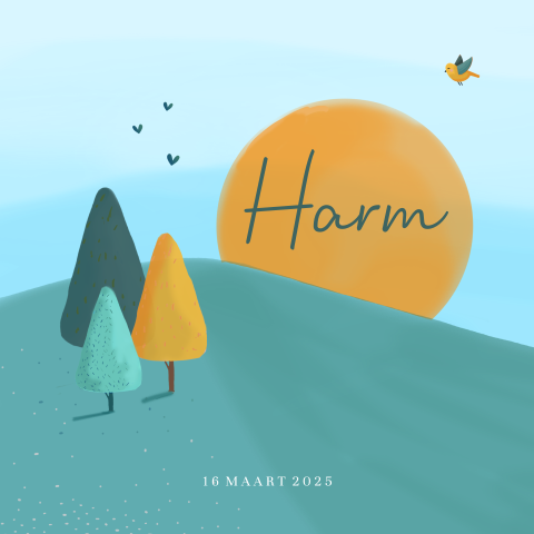 Geboortekaart jongetje landschap boompjes bergen zonsopgang