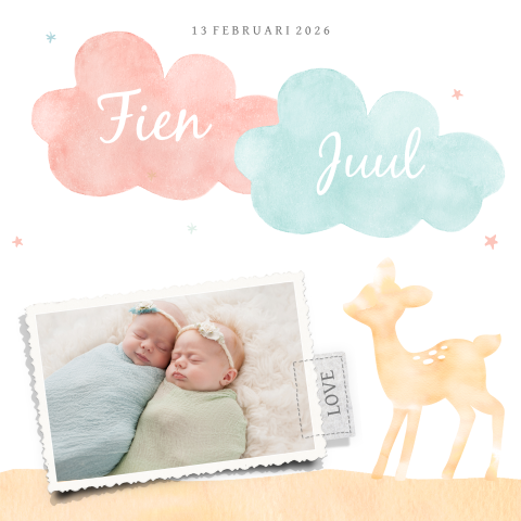 Lief geboortekaartje tweeling met hertje