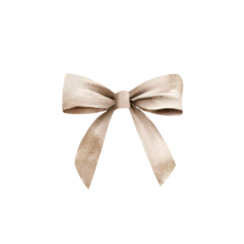 Sluitzegel met bruin strikje