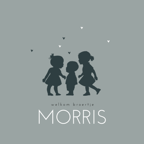 Lief geboortekaartje met silhouet van baby broertje met grote zussen