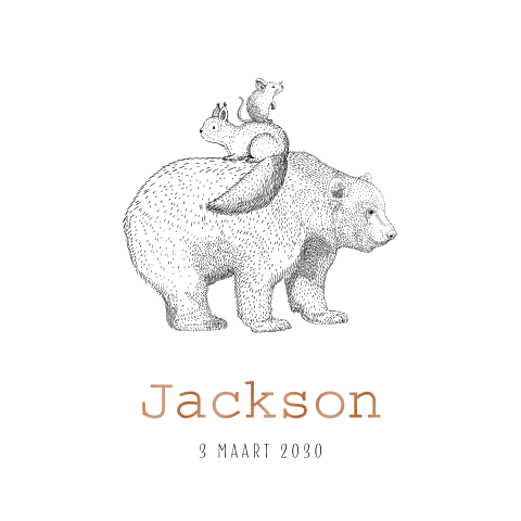 Avontuurlijk geboortekaartje met getekende bosdieren en hoogglans