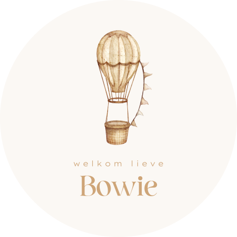 Raamsticker rond met beige luchtballon