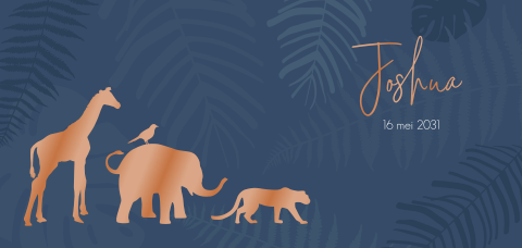 Panorama liggend geboortekaartje met dieren in hoogglans en jungle