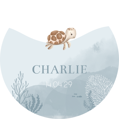 Mooie raamsticker met onderwaterwereld en zeeschildpad