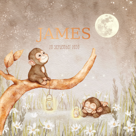 Dromerig aquacolour geboortekaartje met aapjes in maanlicht