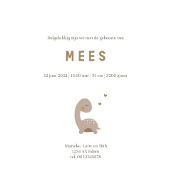 Lief geboortekaartje met getekende dino en hoogglans voor een jongen