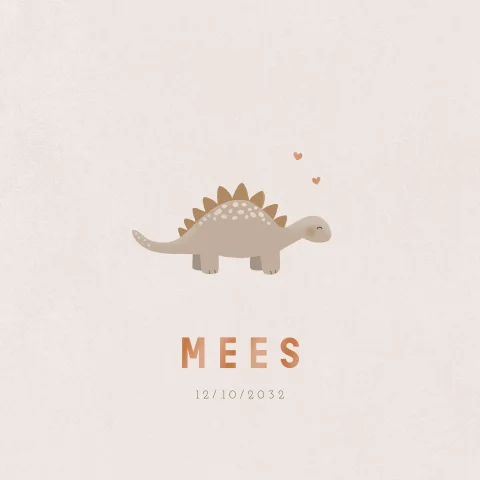 Lief geboortekaartje met getekende dino en hoogglans voor een jongen