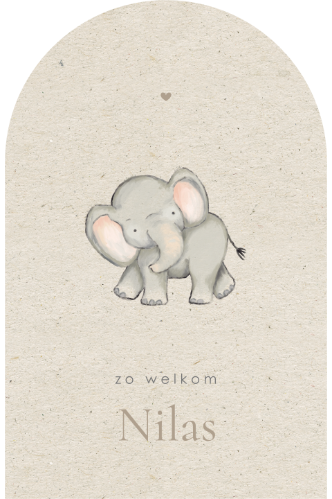 Origineel geboortekaartje neutraal met watercolor olifantje