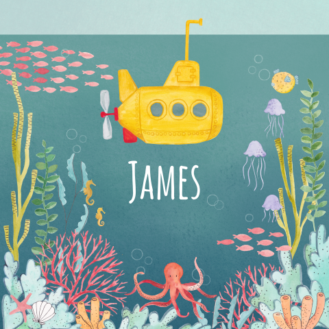 geboortekaartje onderwaterwereld met duikboot