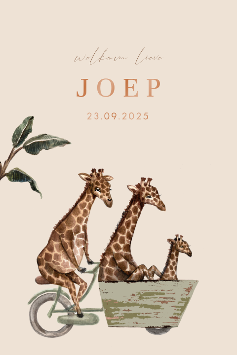 Hoogglans geboortekaart met twee giraffen met kleintje op bakfiets