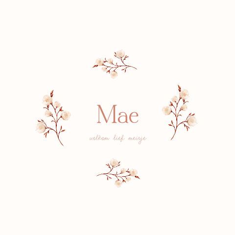 Romantisch geboortekaartje met takjes en bloemetjes