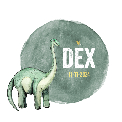 Stoer geboortekaartje jongetje met dino en waterverf en goudfolie hart