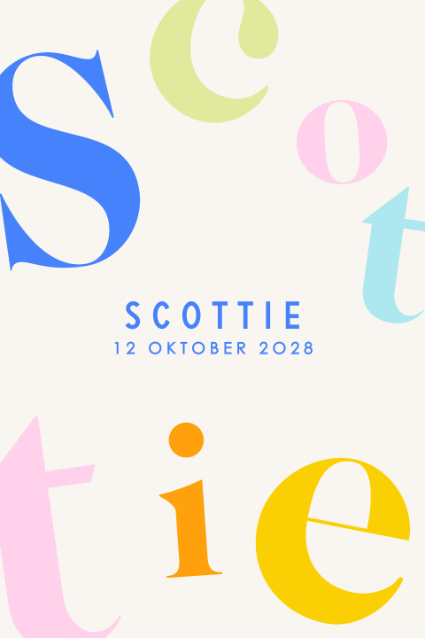Typografisch geboortekaartje met vrolijk gekleurde letters