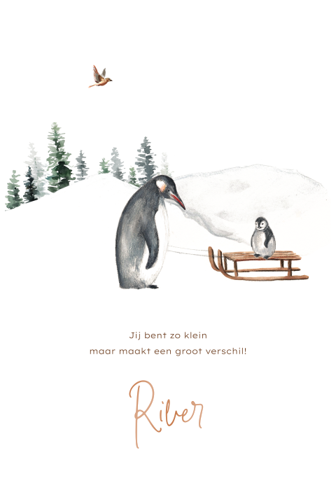 Origineel geboortekaartje met winters landschap en pinguïns