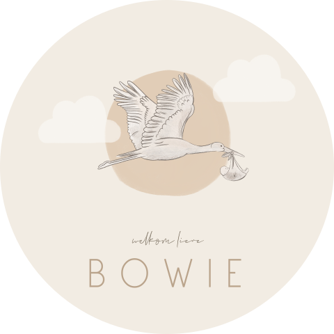 Raamsticker rond met ooievaar en wolkjes