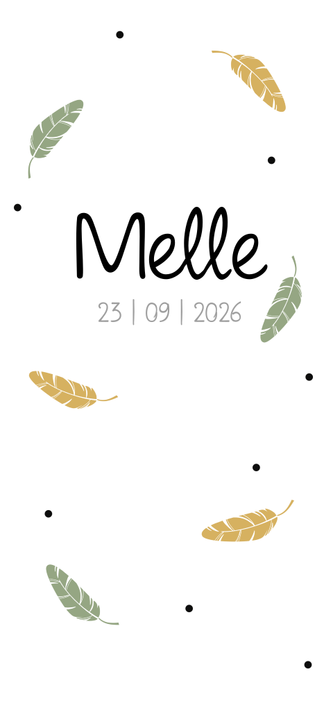 Geboortekaartje met veertjes in herfstkleuren