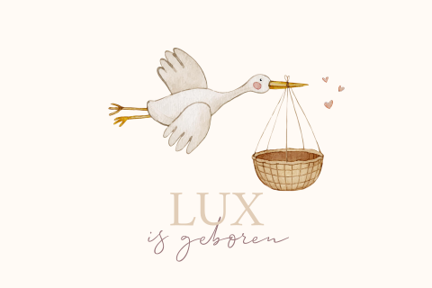 Lief geboortekaartje met illustratie ooievaar en mandje