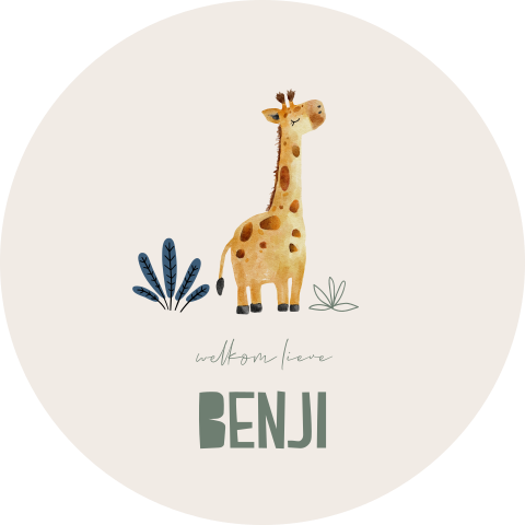 Raamsticker rond met giraffe en naam