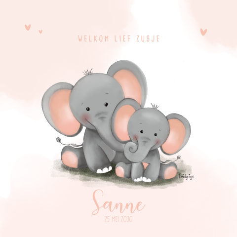 Geboortekaartje tweede kindje meisje olifantjes