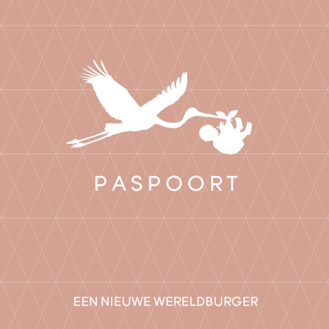 Roze geboortekaartje paspoort met ooievaar