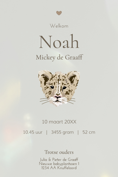 Acryl geboortekaartje neutraal met illustratie baby leeuwtje
