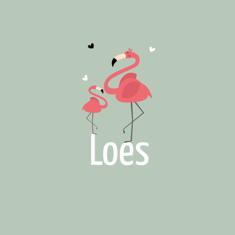 Lief geboortekaartje meisje met flamingo's op groen