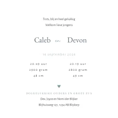 Lief geboortekaartje voor tweeling jongen met silhouet