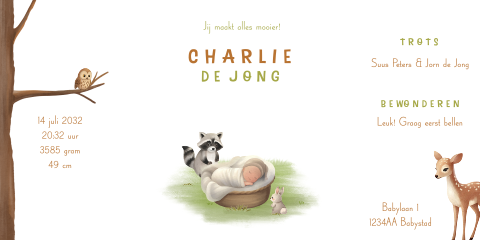 Lief geboortekaartje met baby in mand en bosdieren in theatervorm