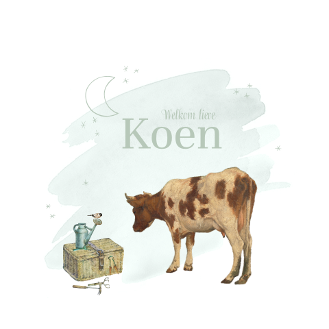 Vintage geboortekaartje voor jongen met retro koe