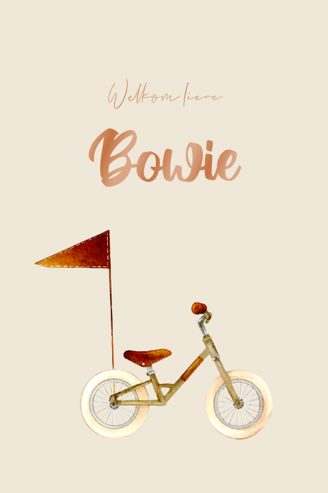 Trendy hoogglans geboortekaartje met loopfietsje en ronde hoeken