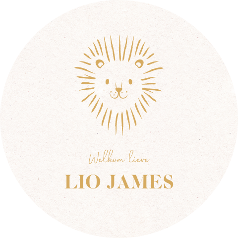 Ronde raamsticker met illustratie leeuwtje