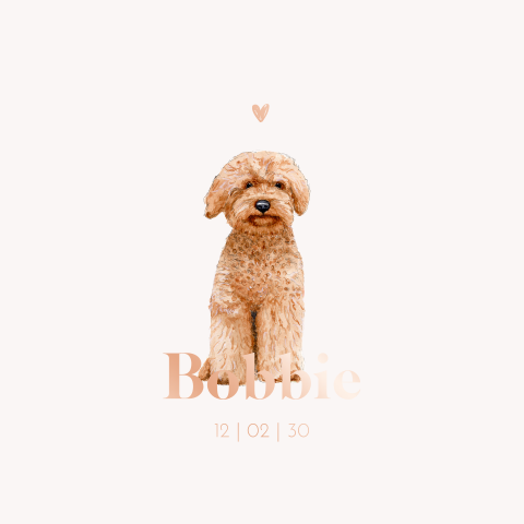 Lief geboortekaartje met labradoodle en roségoudfolie