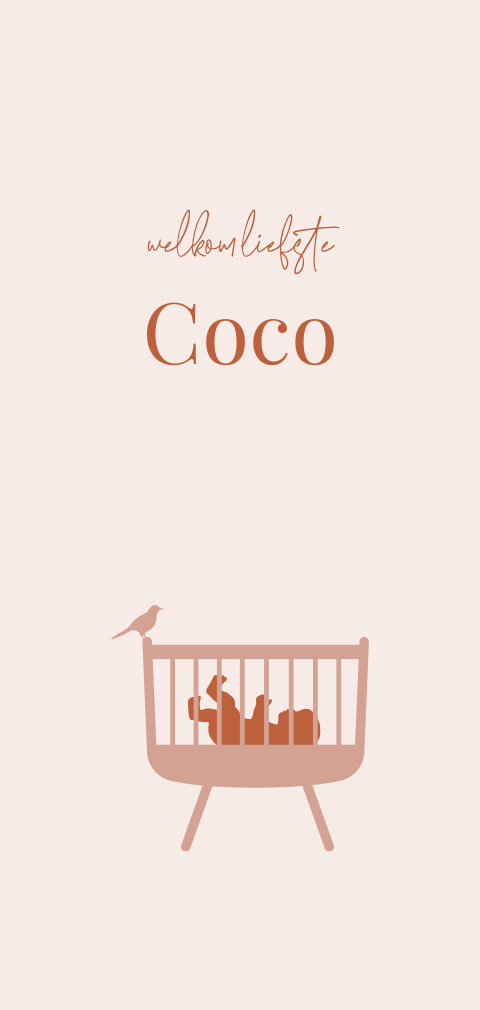 Langwerpig geboortekaartje roze met baby in wiegje