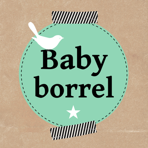 Kraamfeest uitnodiging met vogel