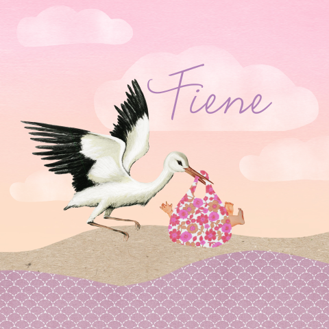 Nostalgisch geboortekaartje met ooievaar