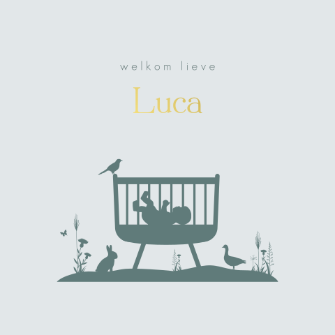 Hip geboortekaartje blauw met silhouetje baby in wieg