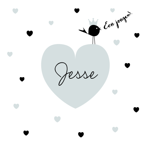 Jongens geboortekaartje met hartjes en vogeltje