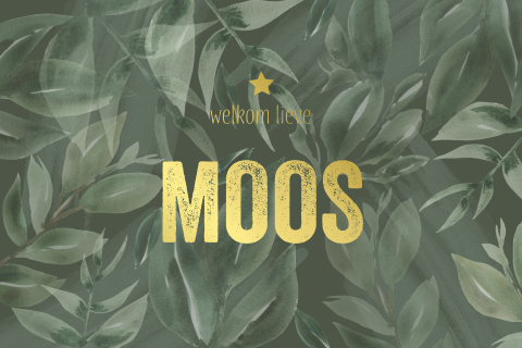 Goudfolie jungle geboortekaartje