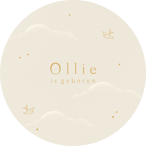 Raamsticker rond met wolkjes en vogeltjes