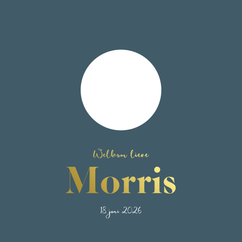 Goudfolie geboortekaartje met illustratie aapje en doorkijkje